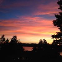 Gina Koehler Photo 6