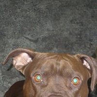 Rosco Robinson Photo 2