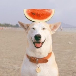 Jamie Jones Photo 34