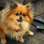 Teresa Lorenzo Photo 17