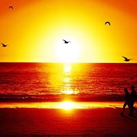 Stacey Walter Photo 9