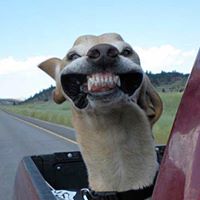 Kevin Morrill Photo 18