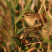 Jenny Winters Photo 17