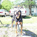 Kelly Hash Photo 21