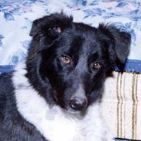 Peggy Sharp Photo 14