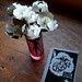 Sara Nesson Photo 6
