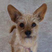 Lucinda Harris Photo 16