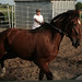 Robert Leclerc Photo 7