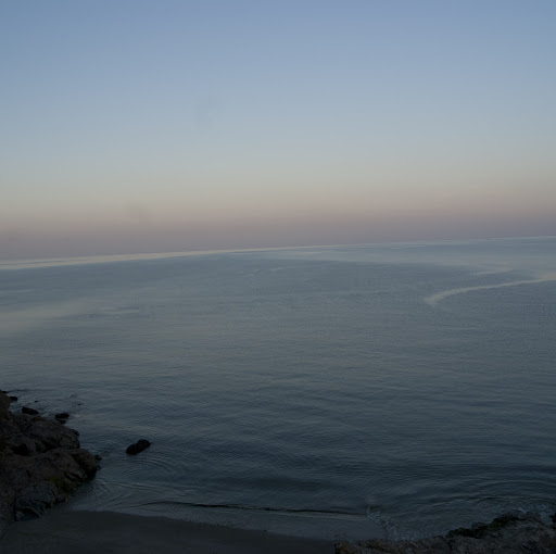 Ryan Dobson Photo 20 Ryan Dobson Photo 20