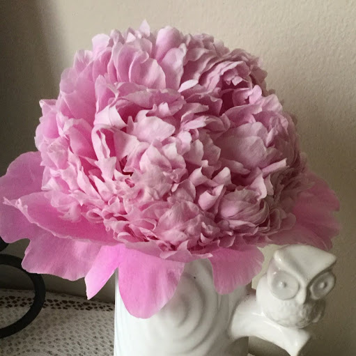 Christina Bird Photo 11