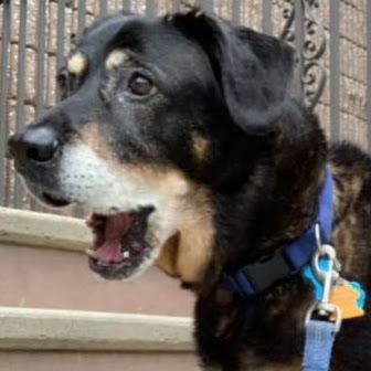 Brian Tobin Photo 25 Brian Tobin Photo 25