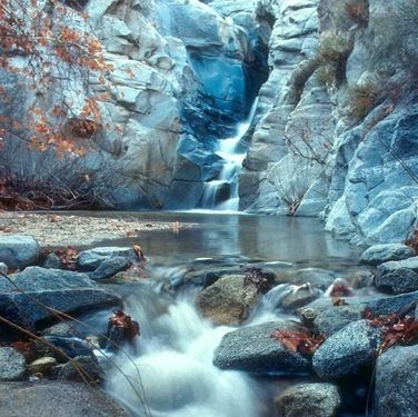 Virginia Cook Photo 26