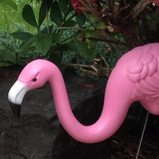 Sarah Lipton Photo 14