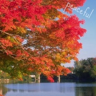 Rhonda Patterson Photo 24