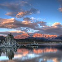 Jill Mulligan Photo 6