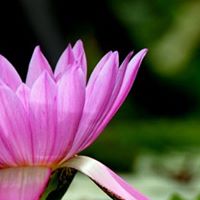 Martha Warner Photo 27