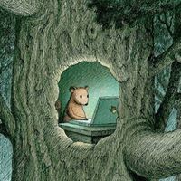 Stephen Tower Photo 8