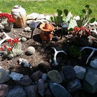 Traci Briggs Photo 27