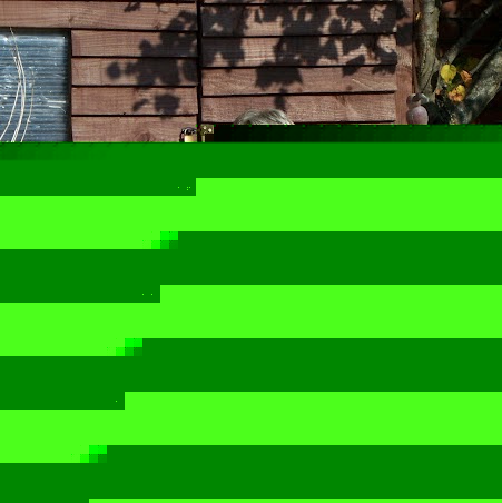 Sarah Laybourn Photo 8