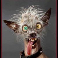 Timothy Shay Photo 18