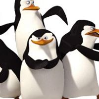 Eric Summers Photo 18