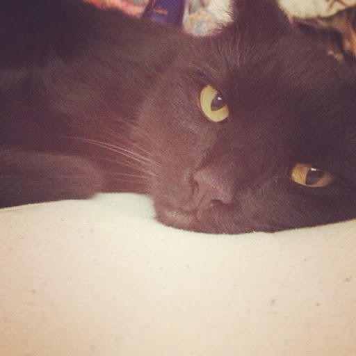 Ruthie Jenkins Photo 9