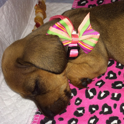 Marsha Davis Photo 10