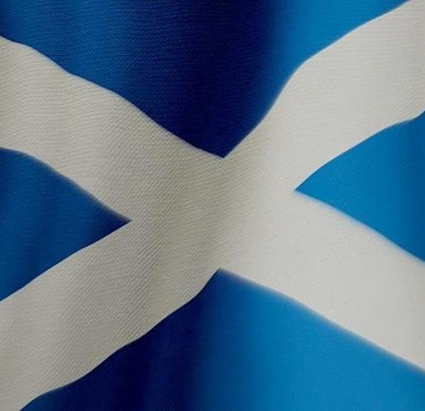 Rebecca Forbes Photo 18