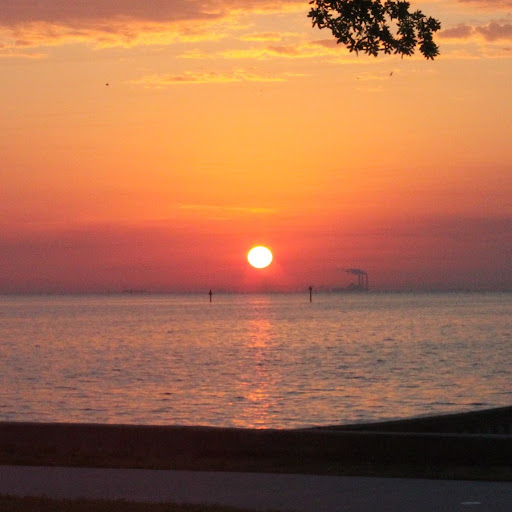 John Matson Photo 36