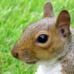 Bryan Godfrey Photo 10