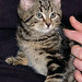 Wilma Brown Photo 30