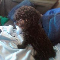 Cherie Cain Photo 12