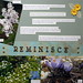 Susan Woodruff Photo 11