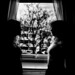 Jonathan Smit Photo 23