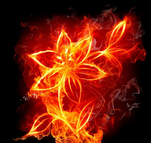 Julia Leung Photo 29