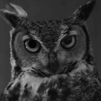 Daniel Wise Photo 33 Daniel Wise Photo 33