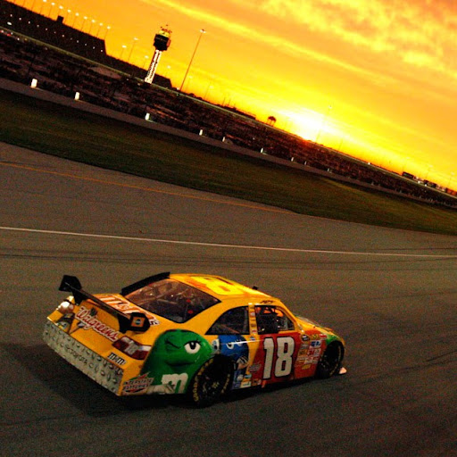 Micheal Cook Photo 12