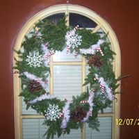 Cathy Chamberlain Photo 14