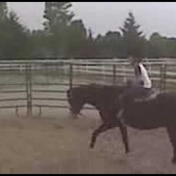 Sandra Mccarthy Photo 12