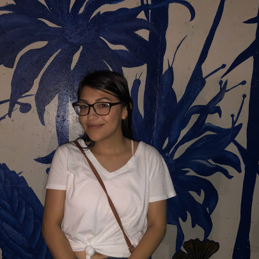 Michelle Ingle Photo 8