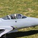 Lynn Fly Photo 6