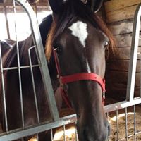 Martha Richardson Photo 46