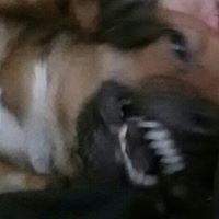 Hannah Chung Photo 17