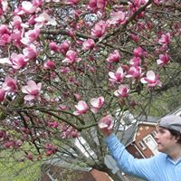 Robert Koehler Photo 9