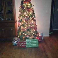 Kathleen Lombardo Photo 23