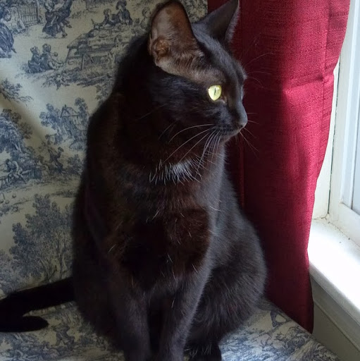 Stephanie Neely Photo 37