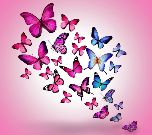 Paula Garcia Photo 14