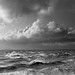 Gale Weston Photo 1