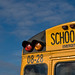 John Conn Photo 48
