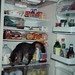 Jim Mattern Photo 33